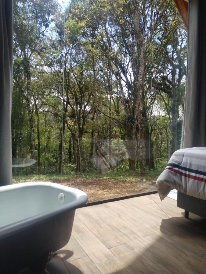 Casa Kafka - Bio Cult Apartamento Campo Alegre (Santa Catarina)