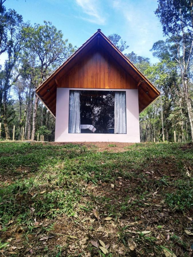 Apartamento Casa Kafka - Bio Cult *
