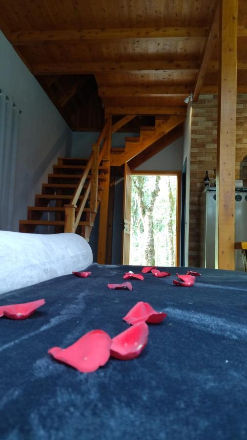 Apartamento Casa Kafka - Bio Cult Campo Alegre (Santa Catarina)